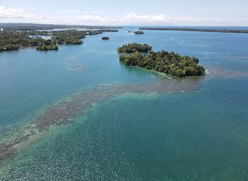 papua-new-guinea/madang-region/shop/rd-tuna-canners-ltd
