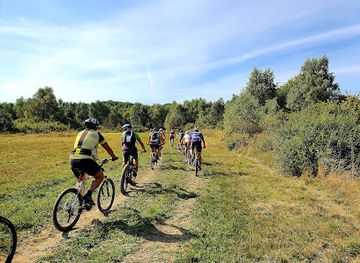 poland/beskid-niski-mountains/shop/shop-and-bicycle-rental-madej