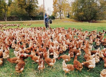 estonia/mulgimaa/shop/luhaorg-ou