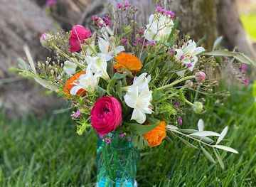 missouri/pomme-de-terre-lake/shop/april-blooms