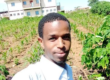 cameroon/east-region/shop/boutique-karzai