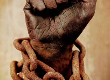 cameroon/kalamaloue-national-park/shop/velo-shopping