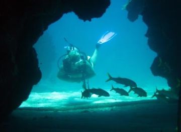 honduras/cayos-cochinos/shop/cayos-cochinos-divers