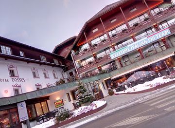 italy/val-gardena/shop/fis-alpine-ski-world-gardena-groeden