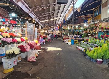 mexico/gulf-coast/shop/floreria-mercado-jamaica