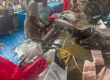 seychelles/ile-de-l-est/shop/seychelles-victoria-gift-shop