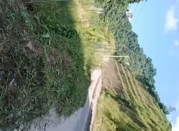 india/itanagar/shop/arunachal-market