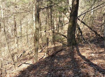 kentucky/sheltowee-trace-national-recreation-trail/shop/sheltowee-trace-trailhead-section-24-london-district