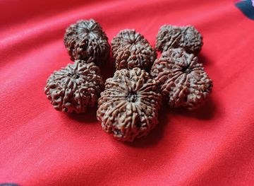 nepal/province-no-1/shop/budhasubba-rudraksha-bhandar