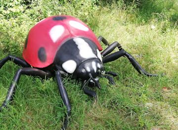 romania/harghita/shop/insect-park