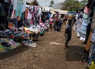cameroon/bimbia-beach/shop/timame-poultry-farm