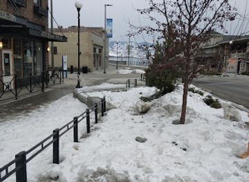 washington/lake-chelan/shop/culinary-apple