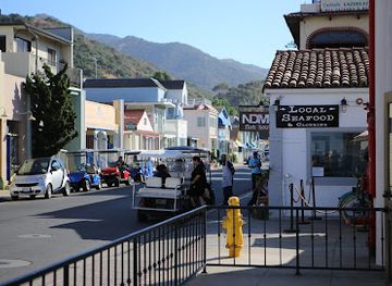 california/santa-catalina-island/shop/the-steamer-trunk