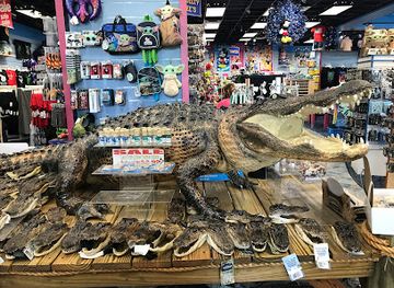 Jungle Falls Gift Shop