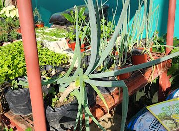 trinidad-and-tobago/couva-tabaquite-talparo/shop/couva-one-stop-garden-shop