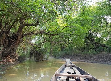 bangladesh/ratargul-swamp-forest/shop/ratargul-swamp-forest-boat-station