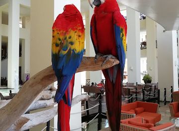 mexico/riviera-maya/shop/arte-mexicano