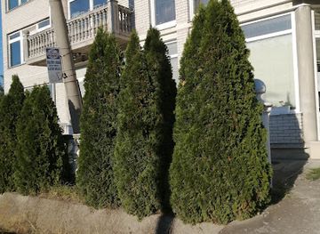 serbia/sumadija/shop/euro-balkan