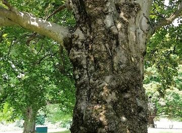 massachusetts/quabbin-reservoir/shop/ironstone-antiques