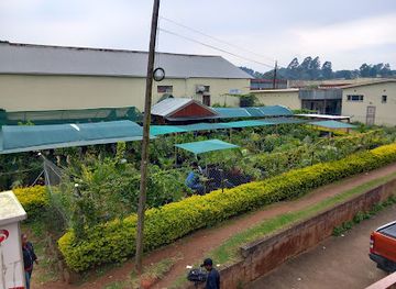 eswatini/piggs-peak/shop/garden-boys