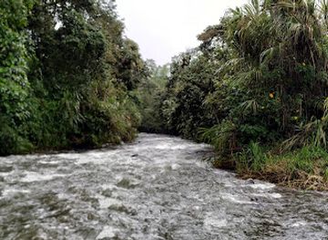 ecuador/mindo-cloud-forest/shop/mindo-cloudforest-foundation