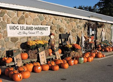 vermont/grand-isle-county/shop/hog-island-market