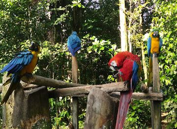 colombia/putumayo/shop/mariposario-paway
