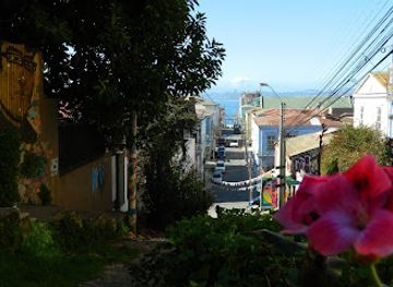 chile/valparaiso/barrio-puerto/shop/miel-de-oveja-tienda