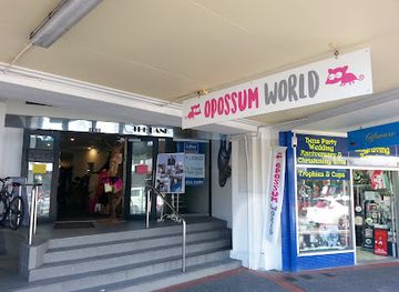new-zealand/hawke-s-bay/shop/opossum-world