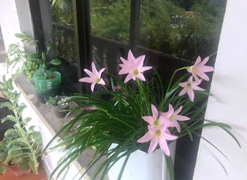 costa-rica/guanacaste/shop/britt-shop-costa-rica