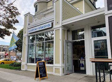 new-york/buffalo/elmwood-village/shop/sunshine-and-bluebirds