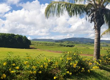 mauritius/agalega/shop/unique-designers-dress