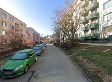 czechia/brno/brno-bystrc/shop/altered-raven