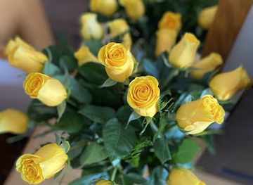 illinois/mississippi-palisades-state-park/shop/country-peddler-floral-gifts