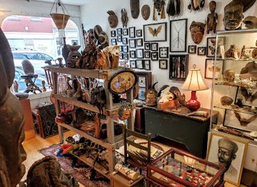 new-york/hudson/shop/white-whale-limited