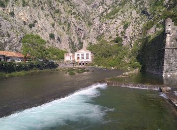 montenegro/lim-river-valley/shop/kotor-cats-museum