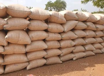 nigeria/gwari/shop/grain-s-market