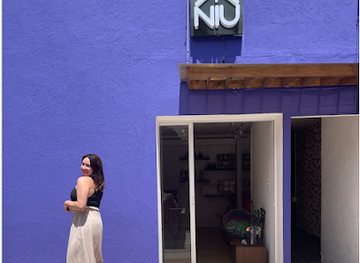 guatemala/guatemala-city/zona-10/shop/casa-niu