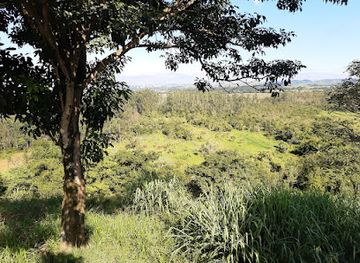 brazil/serra-do-roncador/shop/mirante-do-banhado
