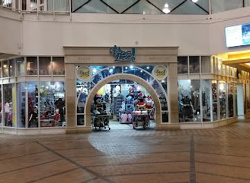 illinois/chicago/shop/oh-yes-chicago