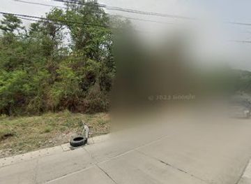 philippines/ilocos-norte/shop/ej-plant-shop