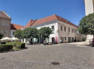 hungary/szekesfehervar/shop/szekesfehervari-ajandek-es-jegyuzlet