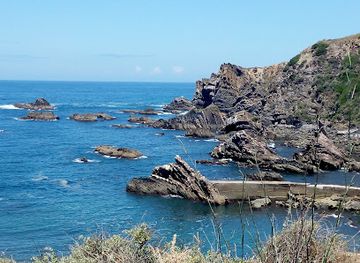 portugal/costa-vicentina/shop/sudoberry-sa