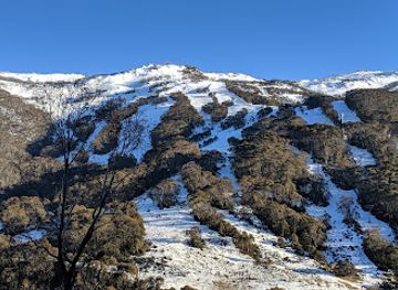 australia/kosciuszko-national-park/shop/thredbo