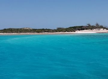 the-bahamas/exuma-cays-land-and-sea-park/shop/emerald-rock-exuma-land-and-sea-park