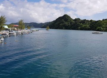 palau/ngardmau-waterfall/shop/fish-n-fins-palau