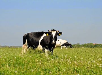 netherlands/wadden-islands/shop/novalishoeve