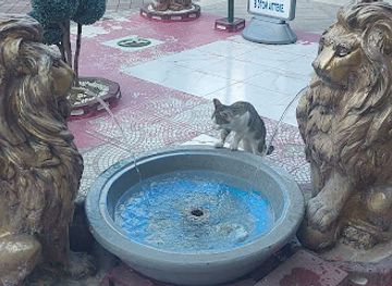 turkiye/lycian-way/shop/n-k-exclusive