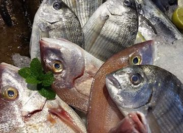 malta/blue-grotto/shop/la-spigola-fish-shop-zurrieq