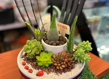 malaysia/ipoh/shop/noori-terunggul-enterprise